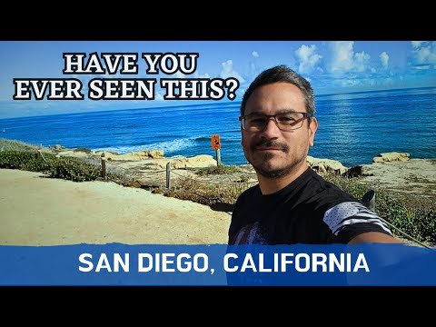 Mission Bay To Point Loma San Diego INCREDIBLE ROAD TRIP