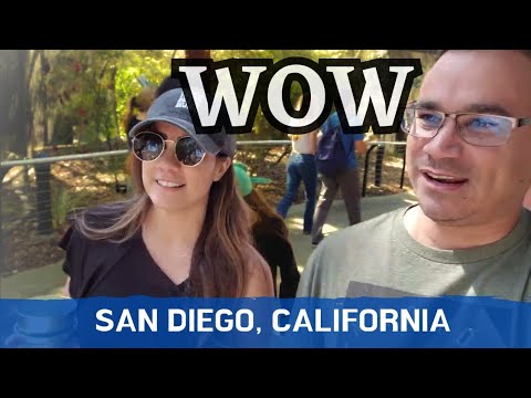 The Craziest Experience at the Famous San Diego Zoo in California